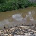 FISH POND PROJECT