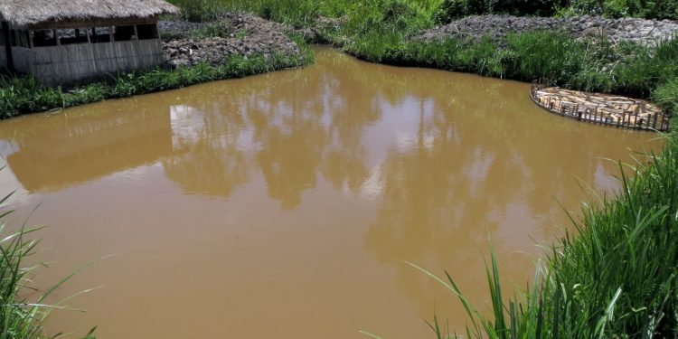 COMMUNITY DEVELOPMENT PROJECTS