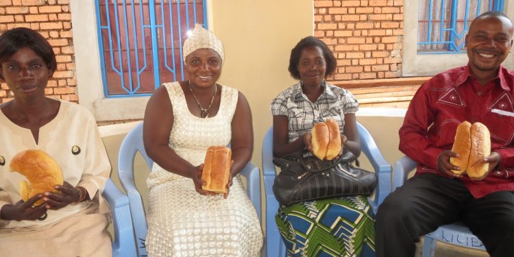 MICRO-FINANCING AND SMALL BUSINESSES: