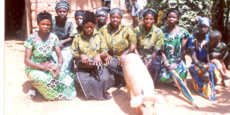 MICRO-FINANCING AND SMALL BUSINESSES: