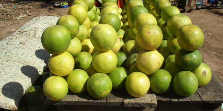 MICRO-FINANCING AND SMALL BUSINESSES: